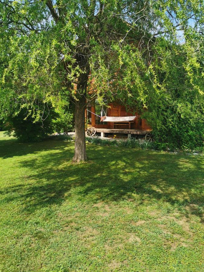 The Wooden House Villa Moldovenesti Exterior photo