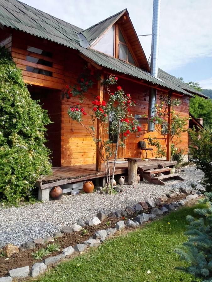The Wooden House Villa Moldovenesti Exterior photo