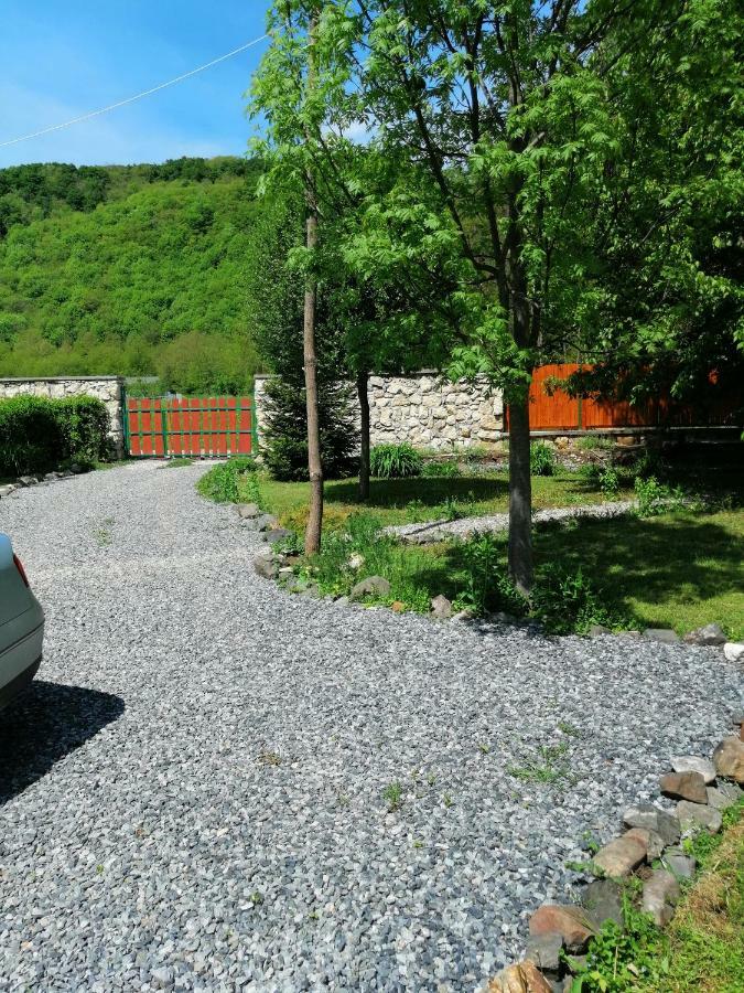 The Wooden House Villa Moldovenesti Exterior photo